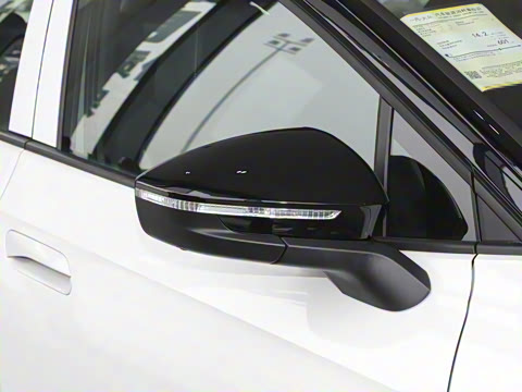 2025�� ������������ʿPRO��