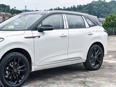 2025�� 117km ��ΪPLUS��