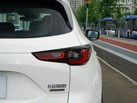 2025�� 2.0L �Զ���������Pro