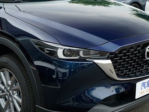 2025�� 2.0L �Զ�����������