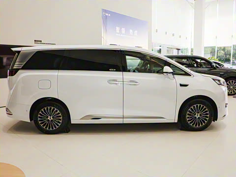 2025�� DM-i �Ǽݰ� 1100 ������