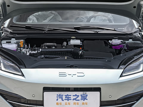 2025�� DM-i 80KM�����