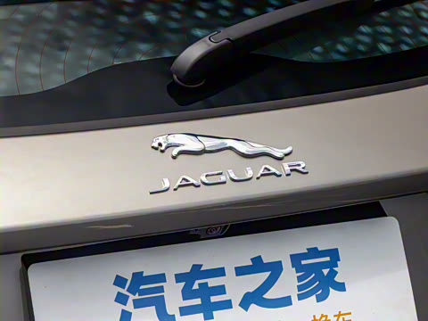 2024�� ��ȡ�˶��� R-DYNAMIC S