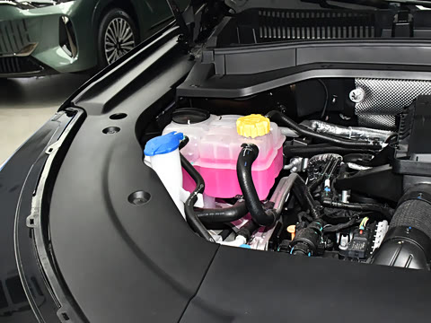 2025�� 120 ���������콢�� 5�� �������