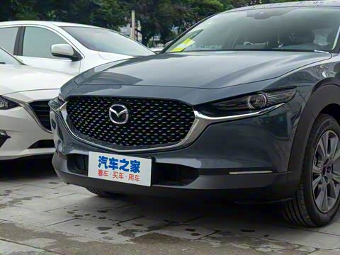 2020�� 2.0L �Զ�������