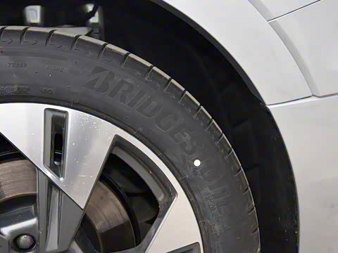 2019�� 55 quattro ������