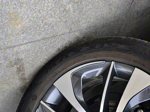 2019�� 300T �Զ������� 7��