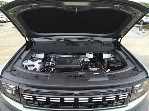 2025�� 226km ��Խ