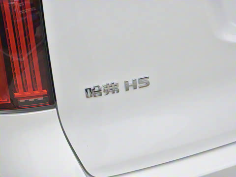 2023�� 2.0T�Զ������촴 ����