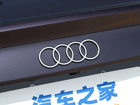 2026�� A3L Limousine 35TFSI �ɳ������� +������ѡ��