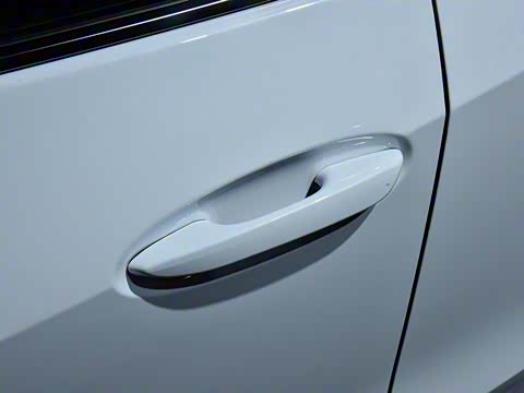 2019�� 260h F SPORT�� ��VI