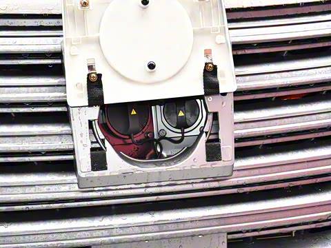 2025�� 110km���� ������7��