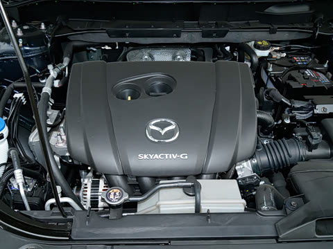 2025�� 2.0L �Զ�����������