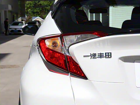 2021�� ˫�� 2.0L ������