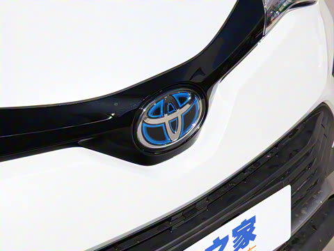 2021�� ˫�� 2.0L ������