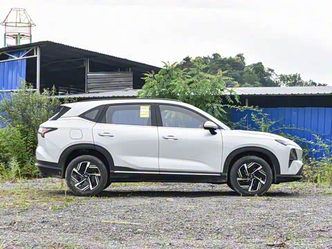 2025�� 130km �캽��