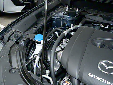 2025�� 2.0L �Զ�����������