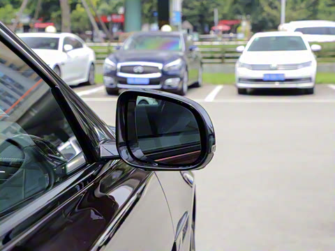 2021�� XFL 2.0T P250 �����׺��˶���