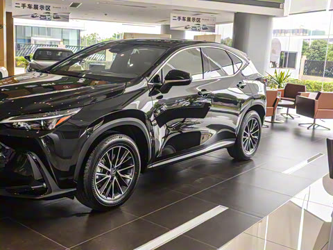 2025�� 260 ǰ�� �ر��