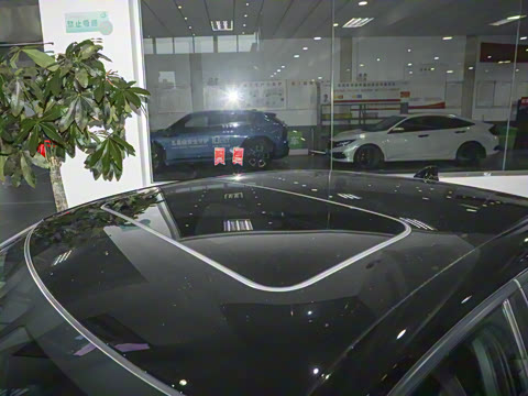 2025�� 2.0L e:HEV �춯Pro