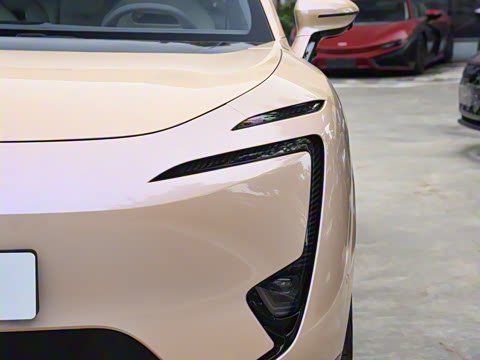 2025�� Max �����