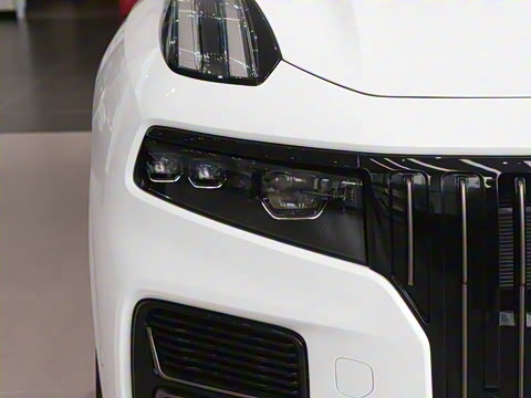 2025�� 2.0TD EM-P ����Max ����