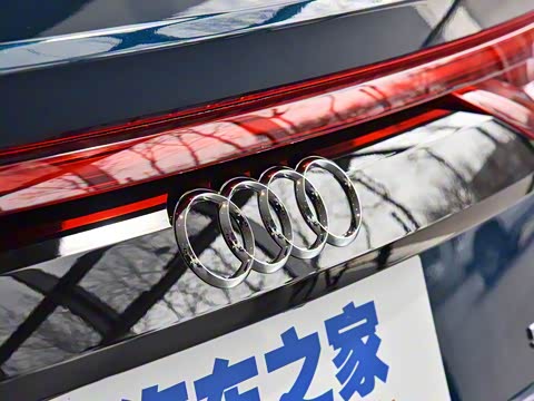 2019�� 55 TFSI ��ѡ������