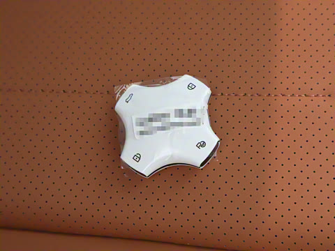 2025�� ���� 230ProѲ����