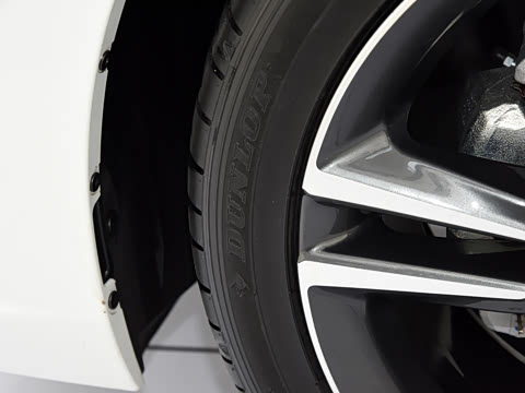 2023�� HATCHBACK 2.0L e:HEV �񡤺�����