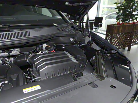 2021�� 380TSI �����콢ʤ����