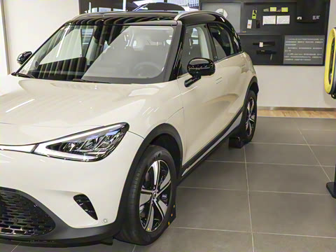 2026�� �鶯������