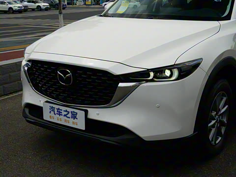 2025�� 2.0L �Զ���������Pro