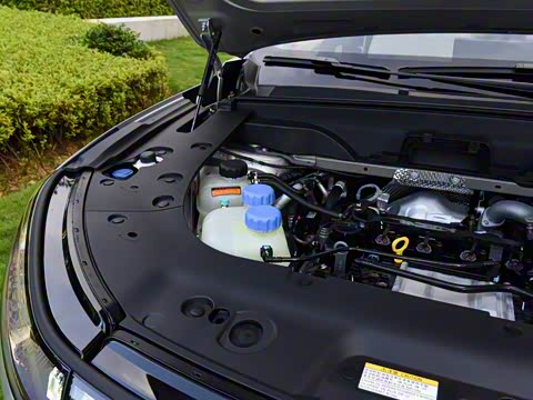 2026�� �������̼�����