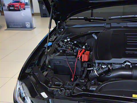 2021�� XFL 2.0T P300 �����콢�˶���