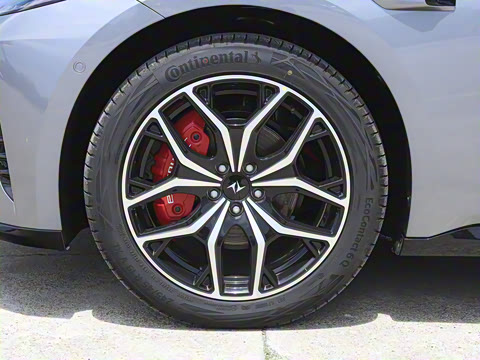 2025�� ���� 230Pro�캽��