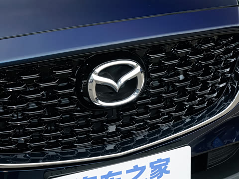 2025�� 2.0L �Զ�����������