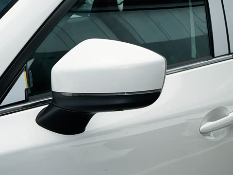 2025�� 2.0L �Զ���������Pro