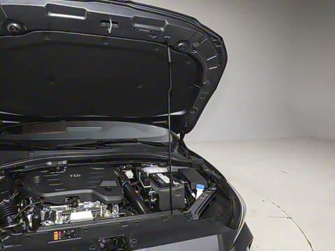 2026�� 300DTGI ȫ���콢MAX��