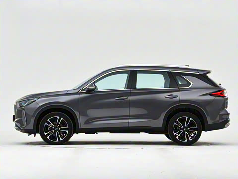 2021�� 390T �Զ����ư�