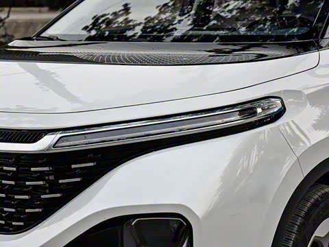 2019�� 1.5T CVT 24Сʱ���ߺ����� 7��