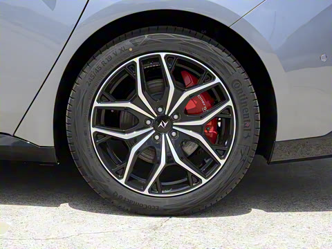 2025�� ���� 230Pro�캽��