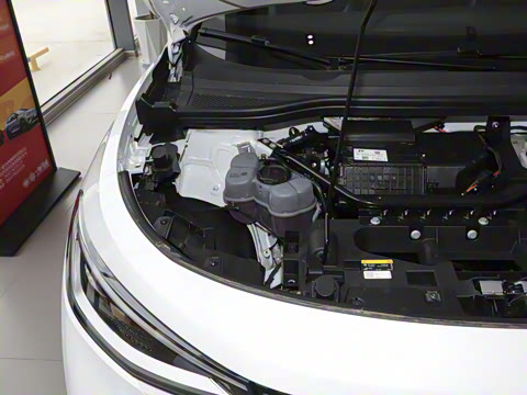 2025�� ������������ʿPRO��