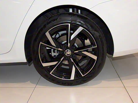 2021�� PRO TSI280 DSG����