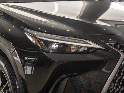 2025�� 260 ǰ�� �ر��