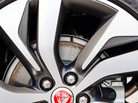 2024�� ��ȡ�˶��� R-DYNAMIC S