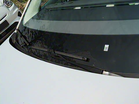 2025�� 650������