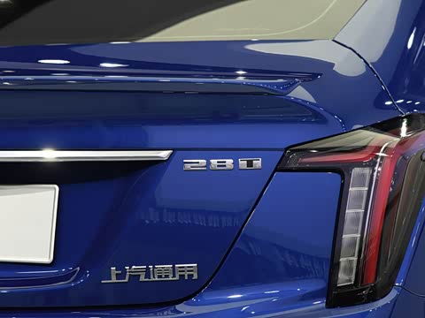 2020�� 28T �����˶���