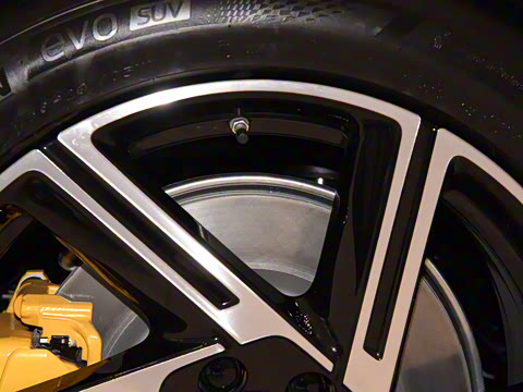 2025�� ��������������