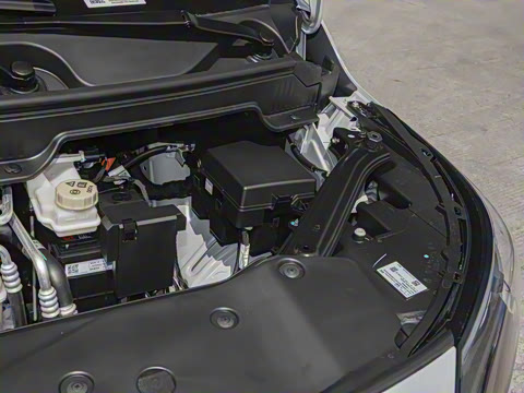 2025�� Plus 510 �Ǻ���