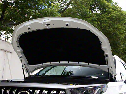 2021�� 270T �Զ��ǺӰ�